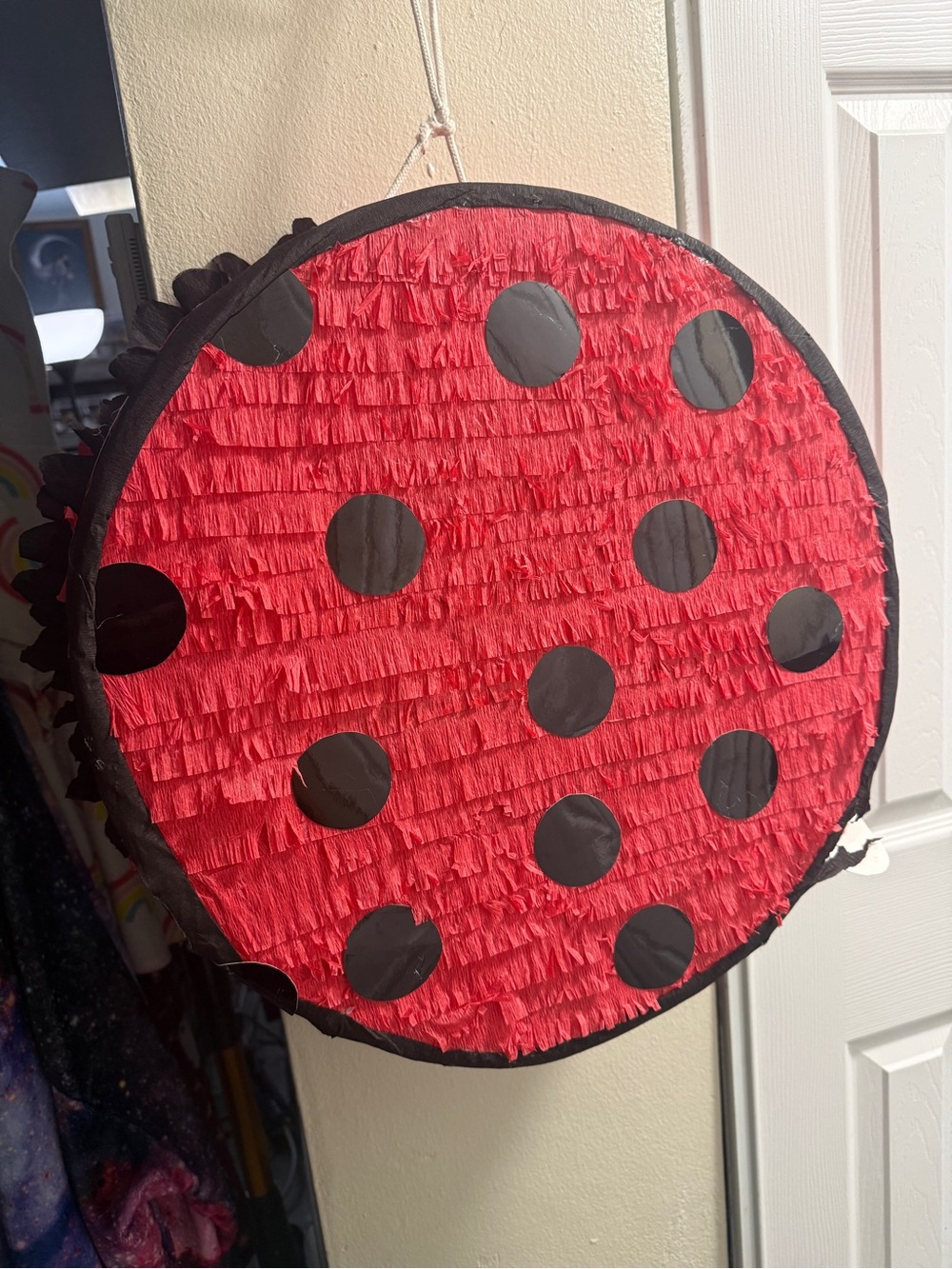 Hand Crafted Red and Black Ladybug Superhero Character Design Party decor - Picture 3 of 5